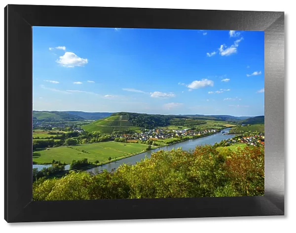 View at river Saar with Ayler Kupp vineyard, Rhineland-Palatinate, Germany