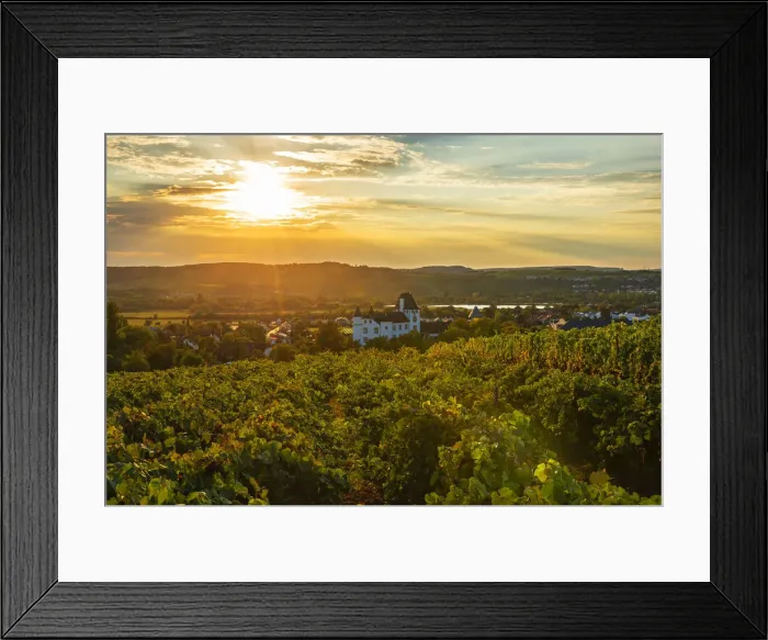 Framed Print : Vineyard with Castle hotel, casino and three star restaurant Victors Residenz Framed Print : Vineyard with Castle hotel, casino and three star restaurant Victors Residenz