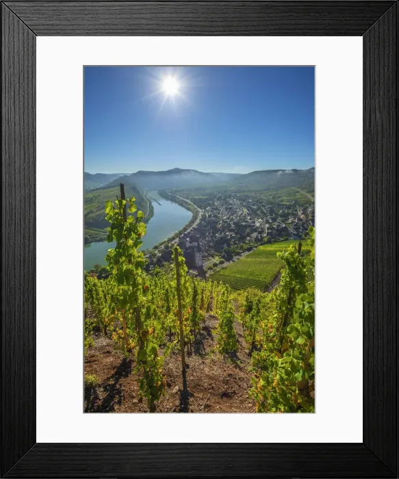 Framed Print : View from Calmont, Bremm, Mosel valley, Rhineland-Palatinate, Germany Framed Print : View from Calmont, Bremm, Mosel valley, Rhineland-Palatinate, Germany