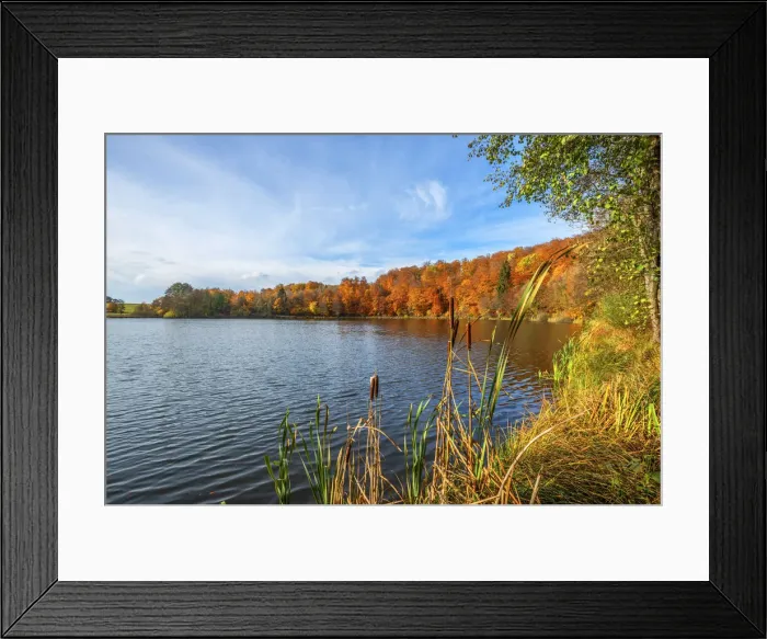 Framed Print : Holzmaar maar lake, Gillenfeld, Eifel, Rhineland-Palatinate, Germany