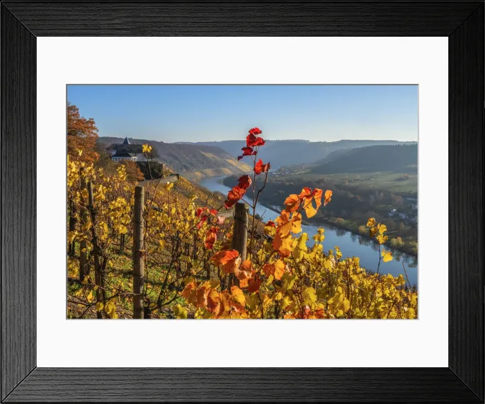 Framed Print : River Mosel with former cloister Marienburg, Mosel valley, Rhineland-Palatinate, Germany Framed Print : River Mosel with former cloister Marienburg, Mosel valley, Rhineland-Palatinate, Germany