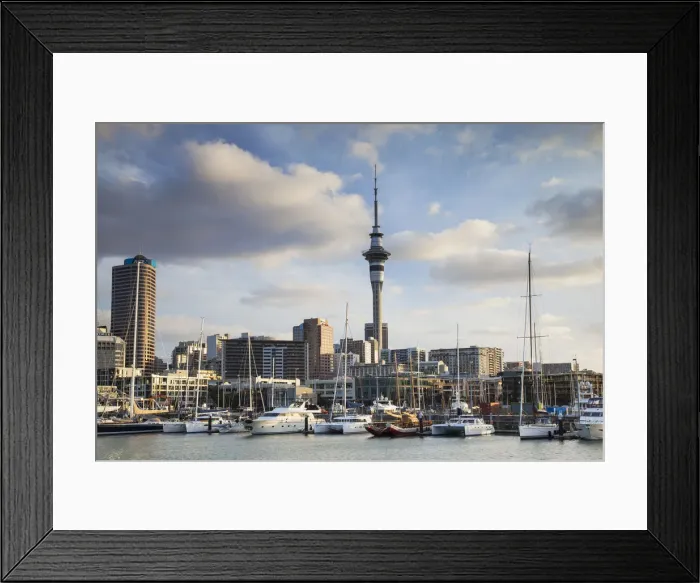 Framed Print : Viaduct Harbour and Sky Tower, Auckland, North Island, New Zealand Framed Print : Viaduct Harbour and Sky Tower, Auckland, North Island, New Zealand