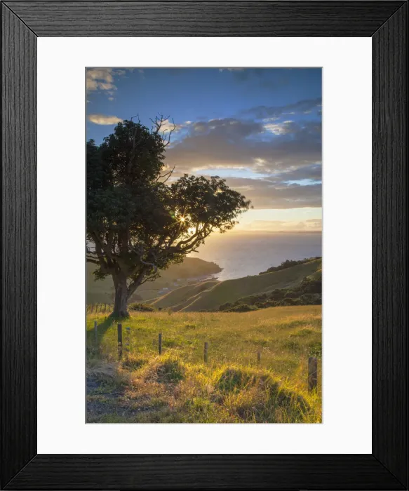 Framed Print : View of Firth of Thames at sunset, Coromandel Peninsula, North Island, New Zealand Framed Print : View of Firth of Thames at sunset, Coromandel Peninsula, North Island, New Zealand