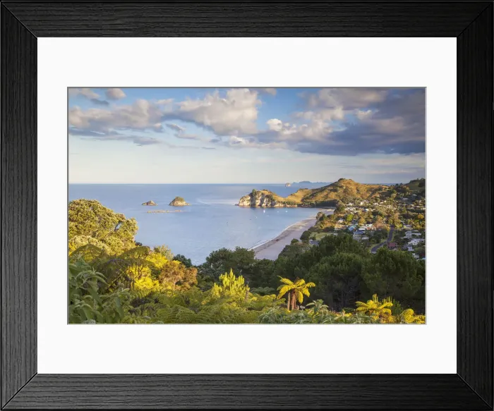 Framed Print : View of Hahei beach, Coromandel Peninsula, North Island, New Zealand