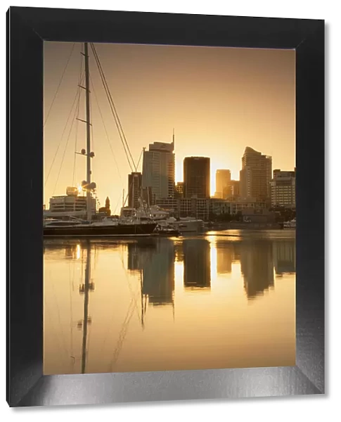 Viaduct Harbour at dawn, Auckland, North Island, New Zealand