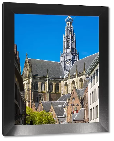 Netherlands, North Holland, Haarlem. Grote Kerk or St