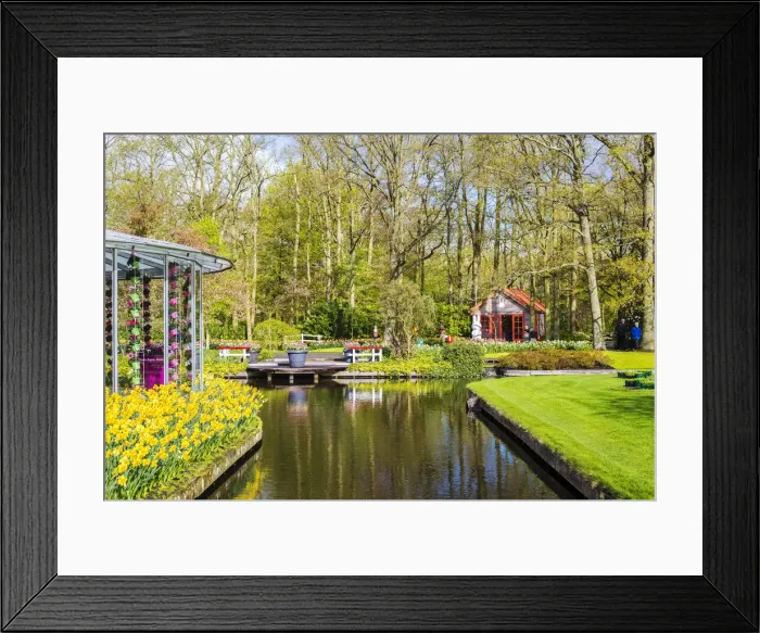 Framed Print : Tulips and flowers at Keukenhof gardens, Lisse, Netherlands Framed Print : Tulips and flowers at Keukenhof gardens, Lisse, Netherlands