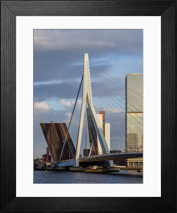 Framed Print : Erasmus Bridge, Rotterdam, South Holland, The Netherlands Framed Print : Erasmus Bridge, Rotterdam, South Holland, The Netherlands