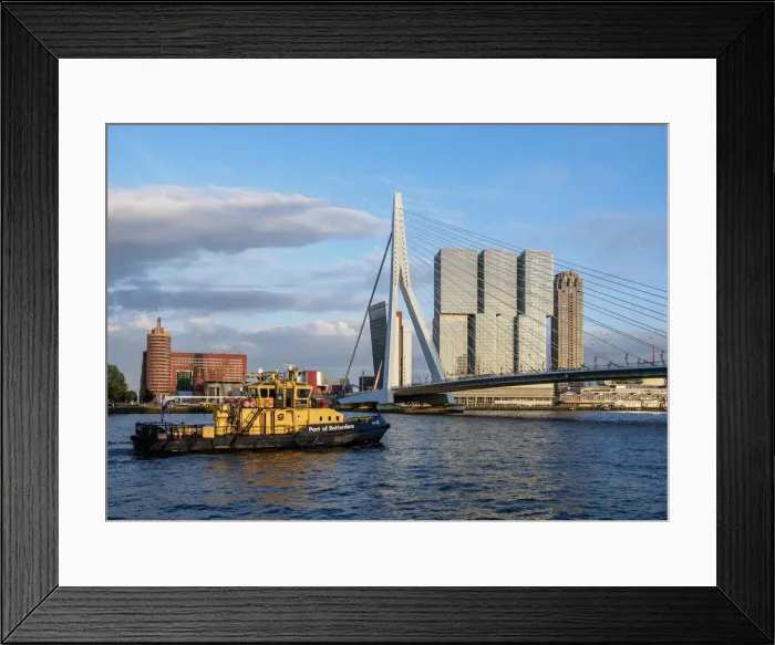 Framed Print : Erasmus Bridge, Rotterdam, South Holland, The Netherlands Framed Print : Erasmus Bridge, Rotterdam, South Holland, The Netherlands