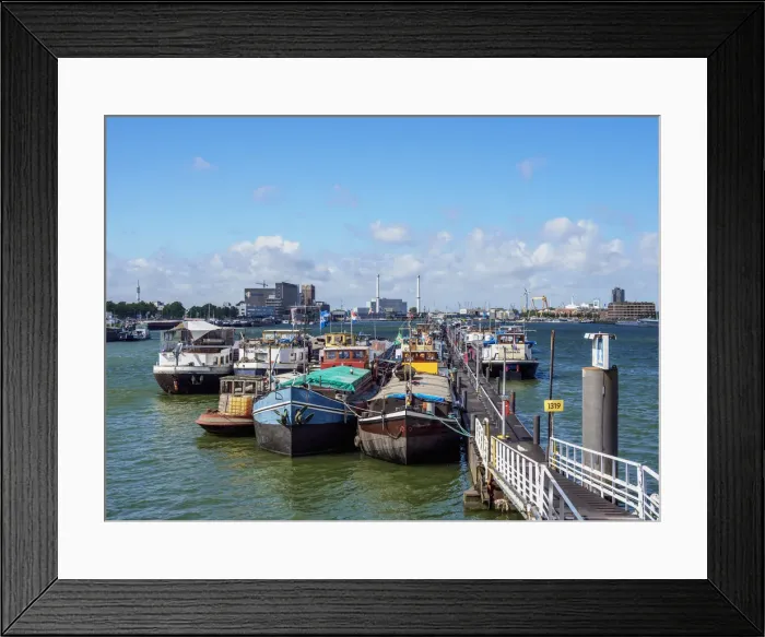 Framed Print : Mshaven, Rotterdam, South Holland, The Netherlands Framed Print : Mshaven, Rotterdam, South Holland, The Netherlands