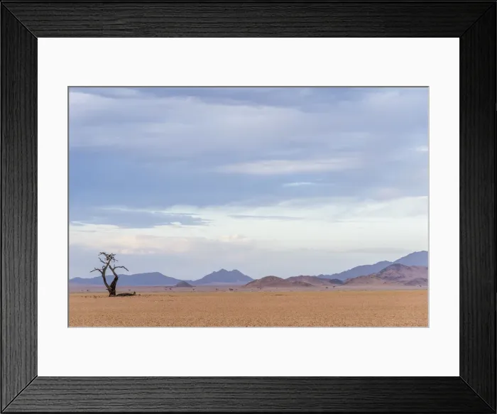Framed Print : Africa, Namibia, Hardap region. A dead tree in a wide arid landscape Framed Print : Africa, Namibia, Hardap region. A dead tree in a wide arid landscape