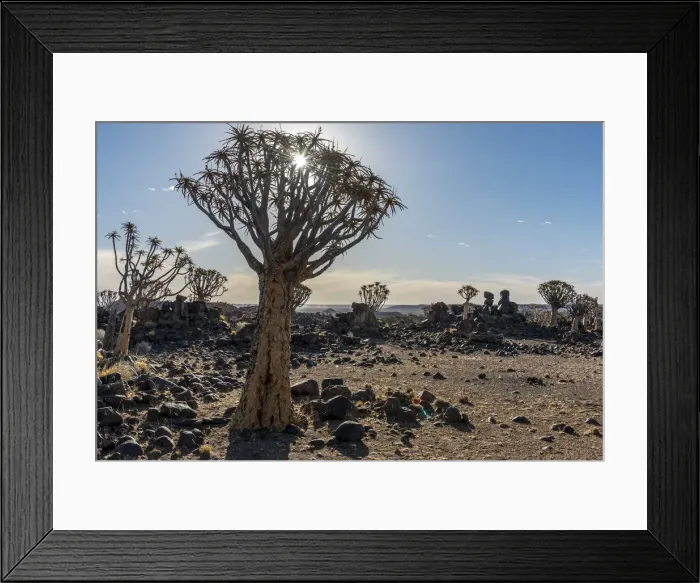 Framed Print : Africa, Namibia, Keetmanshop. Quiver trees and dolerite dykes