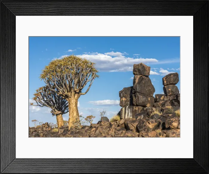 Framed Print : Africa, Namibia, Keetmanshop. Quiver trees and dolerite dykes