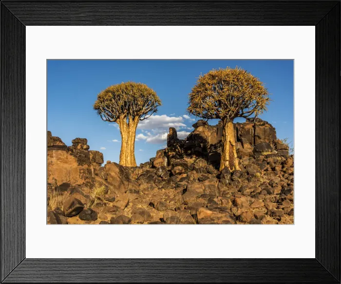 Framed Print : Africa, Namibia, Keetmanshop. Quiver trees and dolerite dykes Framed Print : Africa, Namibia, Keetmanshop. Quiver trees and dolerite dykes