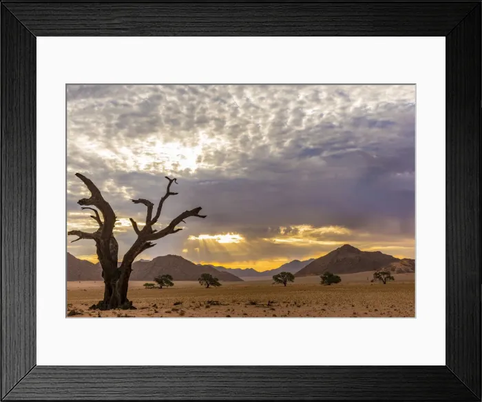 Framed Print : r 0. 015232 Framed Print : r 0. 015232