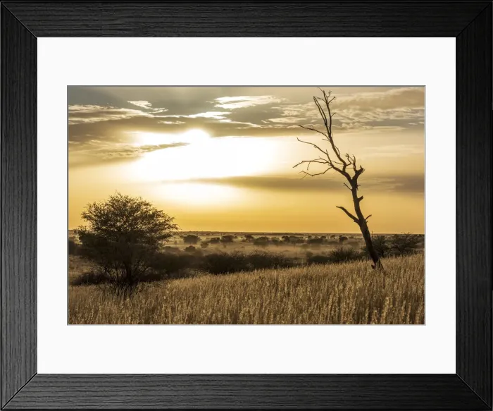 Framed Print : Africa, Namibia, Kalkrand. Sunrise over the Kalahari Framed Print : Africa, Namibia, Kalkrand. Sunrise over the Kalahari