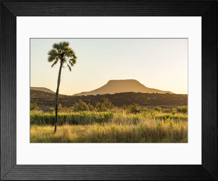 Framed Print : Africa, Namibia, Palmwag. Sunset Framed Print : Africa, Namibia, Palmwag. Sunset