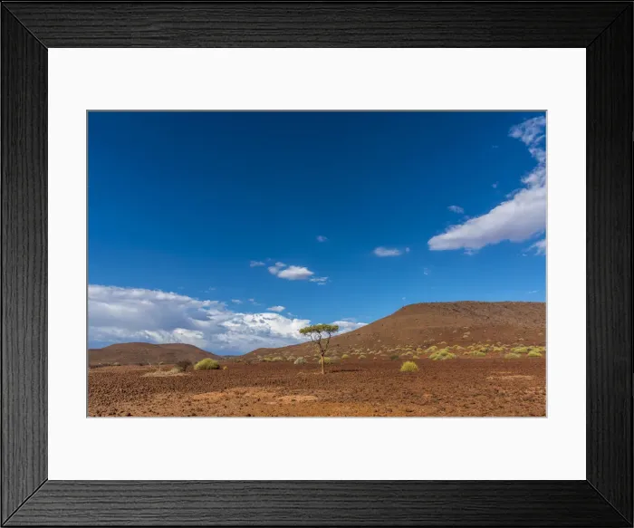 Framed Print : Africa, Namibia, Palmwag. Landscape with Shepherds tree Framed Print : Africa, Namibia, Palmwag. Landscape with Shepherds tree