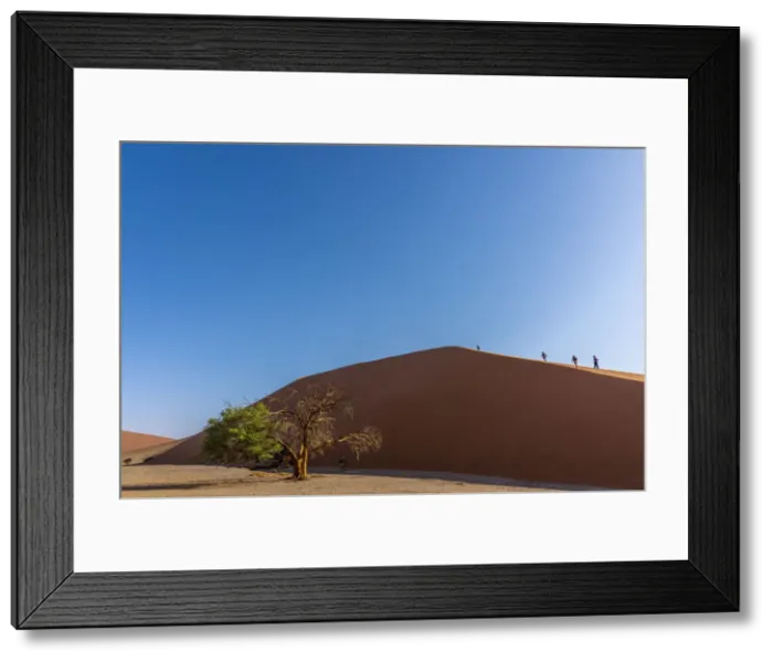Framed Print : Africa, Namibia, Sossusvlei. Dune 45 Framed Print : Africa, Namibia, Sossusvlei. Dune 45
