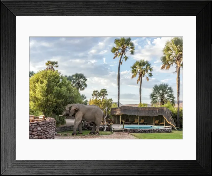 Framed Print : Africa, Namibia, Palmwag. An elephant at the pool at Palmwag Lodge Framed Print : Africa, Namibia, Palmwag. An elephant at the pool at Palmwag Lodge