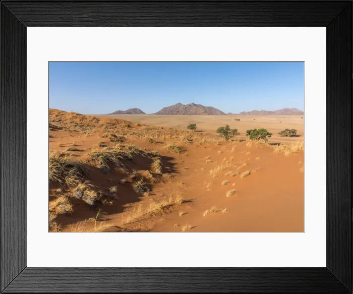 Framed Print : Africa, Namibia, Sossusvlei. Elim dune Framed Print : Africa, Namibia, Sossusvlei. Elim dune