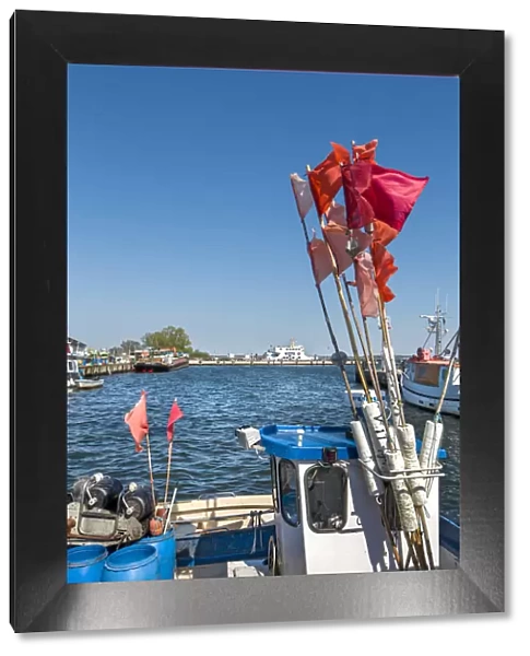 Fishing boats, harbour, Vitte, Hiddensee island, Mecklenburg-Western Pomerania, Germany