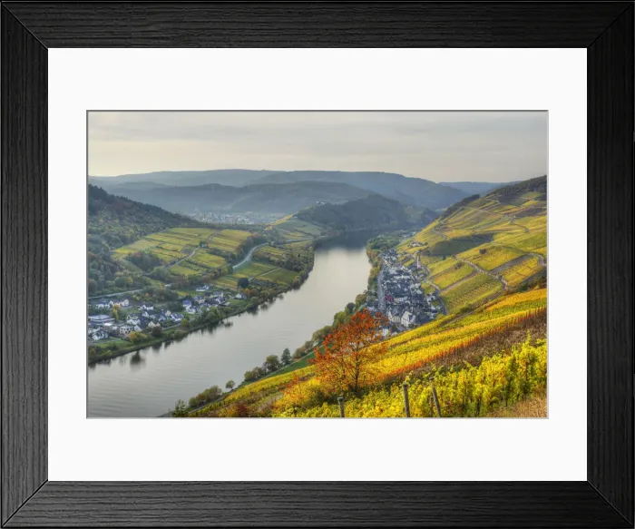 Framed Print : River Mosel with Zell-Merl at fall, Rhineland-Palatinate, Germany Framed Print : River Mosel with Zell-Merl at fall, Rhineland-Palatinate, Germany
