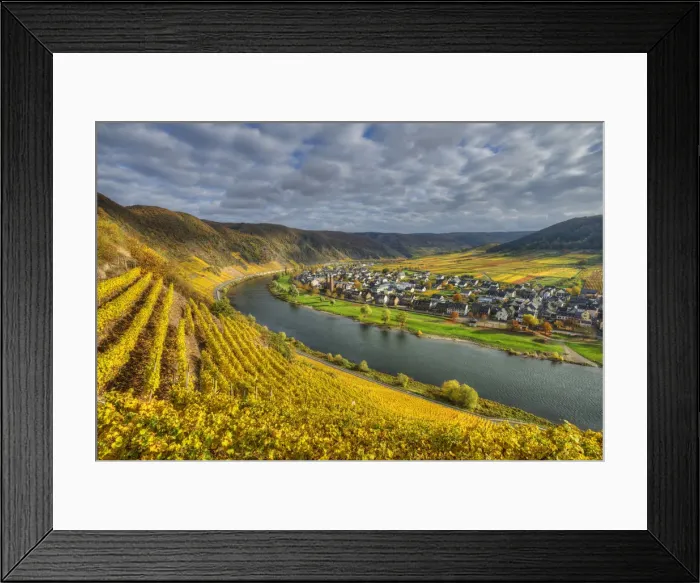 Framed Print : River Mosel with Ernst at fall, Rhineland-Palatinate, Germany