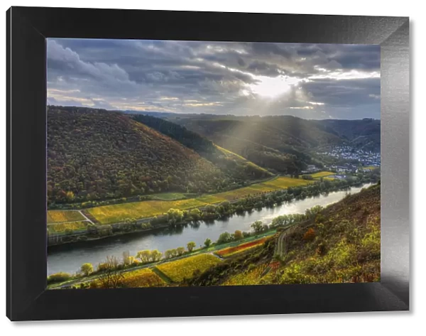 River Mosel with Sehl at fall, Rhineland-Palatinate, Germany