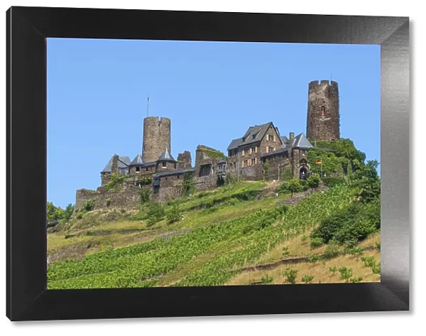 Thurant castle, Alken, Mosel Valley, Rhineland-Palatinate, Germany