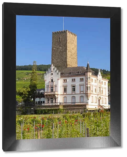 Boosemburg Castle, Rudesheim, Rhineland-Palatinate, Germany