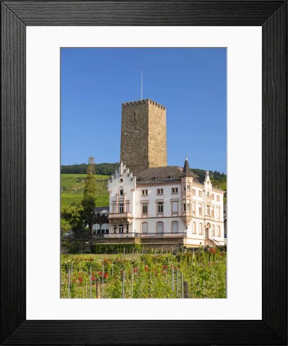 Framed Print : Boosemburg Castle, Rudesheim, Rhineland-Palatinate, Germany Framed Print : Boosemburg Castle, Rudesheim, Rhineland-Palatinate, Germany