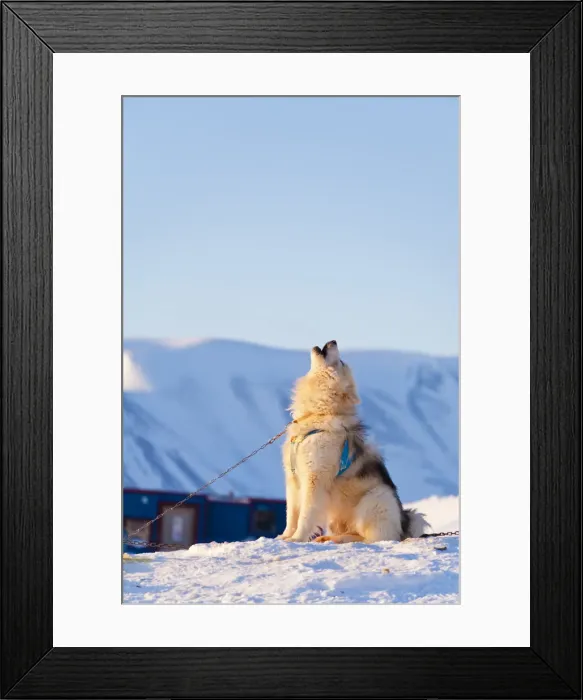 Framed Print : Greenland, East Greenland, Ittoqqortoormiit