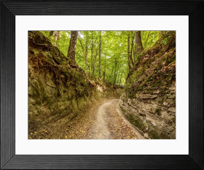 Framed Print : Poland, Lublin Voivodeship, Kazimierz Landscape Park, Gorge Korzeniowy Dol Framed Print : Poland, Lublin Voivodeship, Kazimierz Landscape Park, Gorge Korzeniowy Dol
