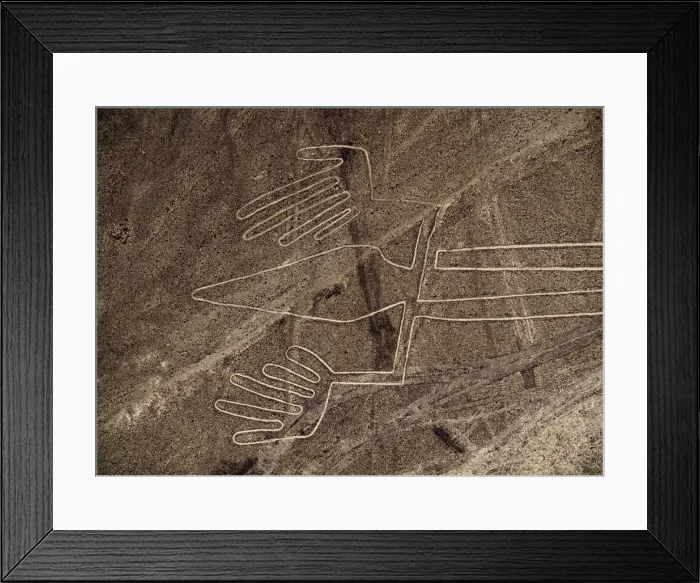 Framed Print : The Lizard Geoglyph, aerial view, Nazca, Ica Region, Peru Framed Print : The Lizard Geoglyph, aerial view, Nazca, Ica Region, Peru