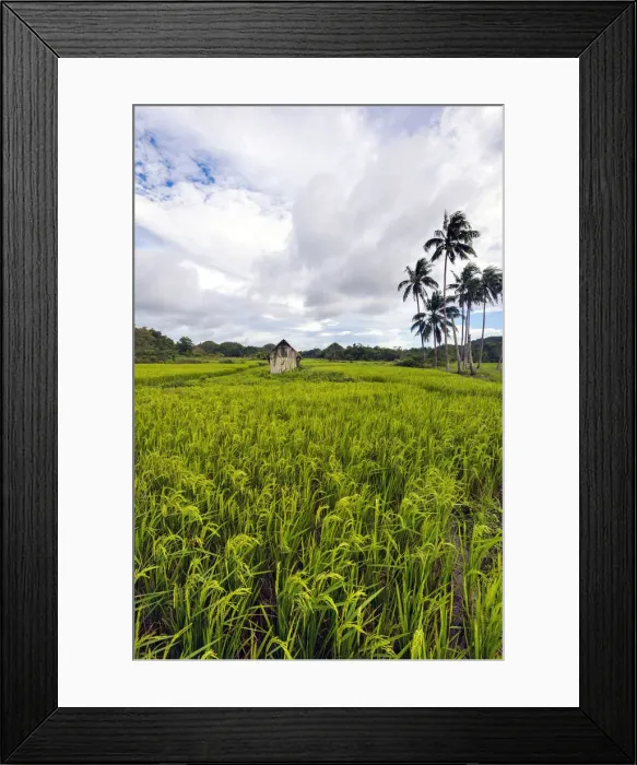 Framed Print : Asia, South East Asia, Philippines, Central Visayas, Bohol, Carmen Framed Print : Asia, South East Asia, Philippines, Central Visayas, Bohol, Carmen