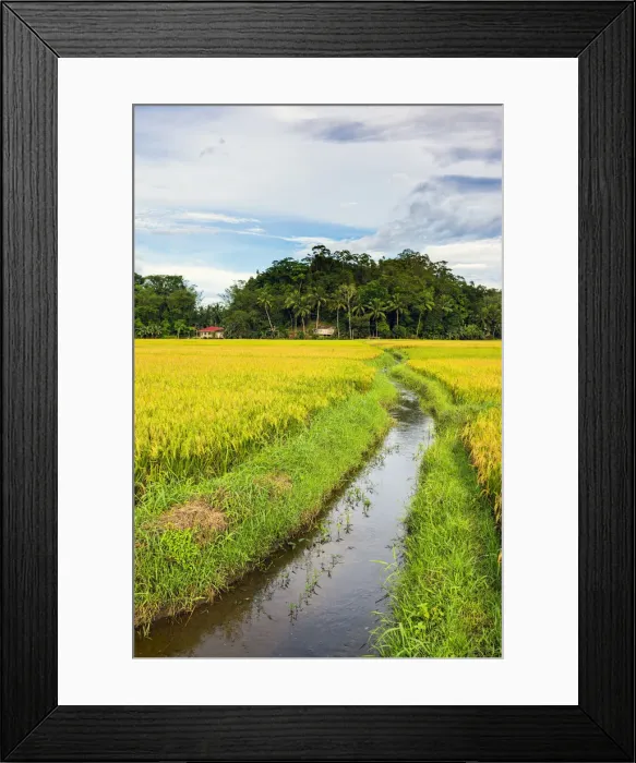 Framed Print : Asia, South East Asia, Philippines, Central Visayas, Bohol, Carmen Framed Print : Asia, South East Asia, Philippines, Central Visayas, Bohol, Carmen