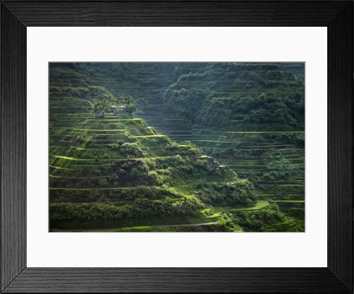 Framed Print : Asia, South East Asia, Philippines, Cordilleras, Banaue; UNESCO World heritage listed Framed Print : Asia, South East Asia, Philippines, Cordilleras, Banaue; UNESCO World heritage listed