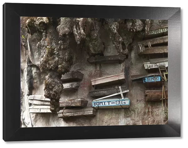 Asia, South East Asia, Philippines, Mountain Province, Sagada, a cliff face with hanging