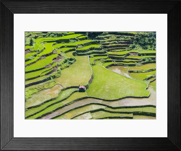 Framed Print : Asia, South East Asia, Philippines, Luzon, Bangaan Framed Print : Asia, South East Asia, Philippines, Luzon, Bangaan