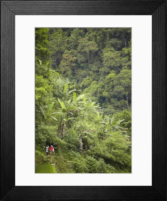 Framed Print : Asia, South East Asia, Philippines, Cordilleras, Batad; tourists looking out