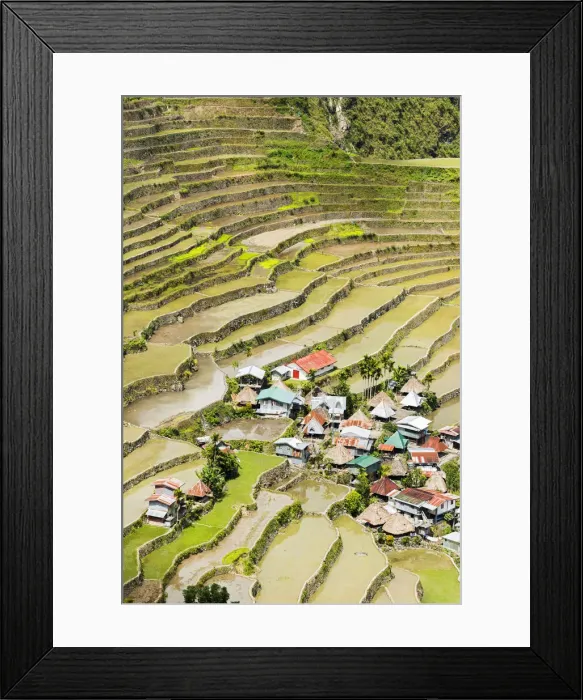 Framed Print : Asia, South East Asia, Philippines, Luzon, Batad Framed Print : Asia, South East Asia, Philippines, Luzon, Batad