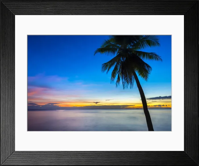 Framed Print : Palm tree at sunset on San Juan beach, San Juan, Siquijor Island, Central Visayas Framed Print : Palm tree at sunset on San Juan beach, San Juan, Siquijor Island, Central Visayas