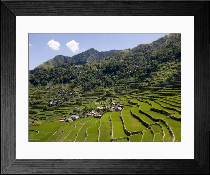 Framed Print : Rice terraces in Banaue, Philippines Framed Print : Rice terraces in Banaue, Philippines