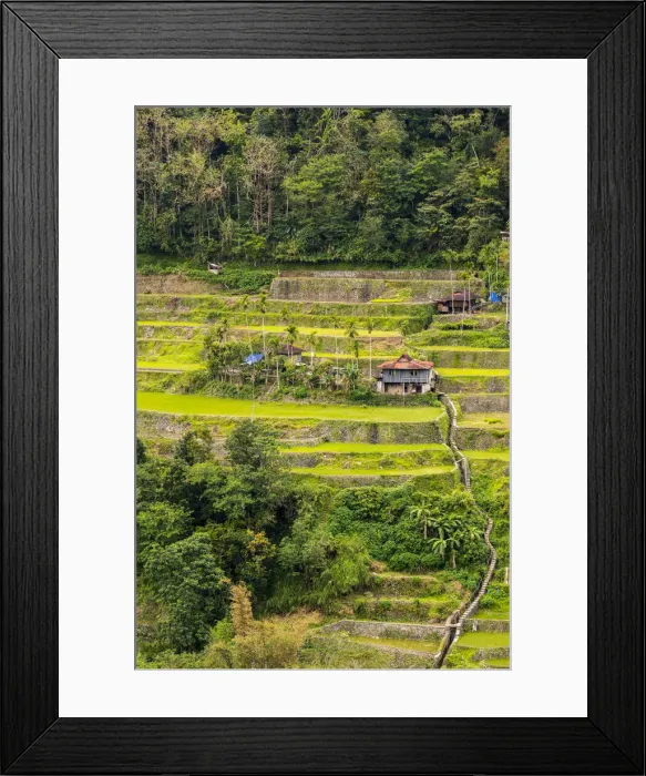 Framed Print : Asia, South East Asia, Philippines, Luzon, Hapao Framed Print : Asia, South East Asia, Philippines, Luzon, Hapao