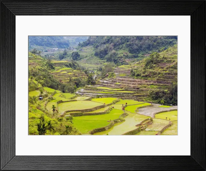Framed Print : Asia, South East Asia, Philippines, Luzon, Hapao Framed Print : Asia, South East Asia, Philippines, Luzon, Hapao