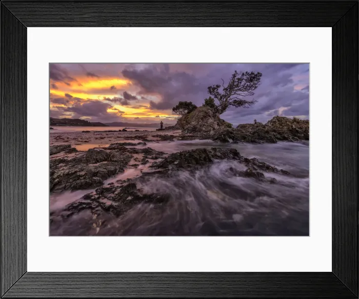 Framed Print : Oceania, New Zealand, Aotearoa, North Island, Coromandel Peninsula, Photographers Framed Print : Oceania, New Zealand, Aotearoa, North Island, Coromandel Peninsula, Photographers