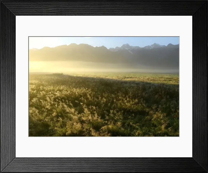 Framed Print : Oceania, New Zealand, Aotearoa, South Island, West Coast, South Westland, Southern Framed Print : Oceania, New Zealand, Aotearoa, South Island, West Coast, South Westland, Southern