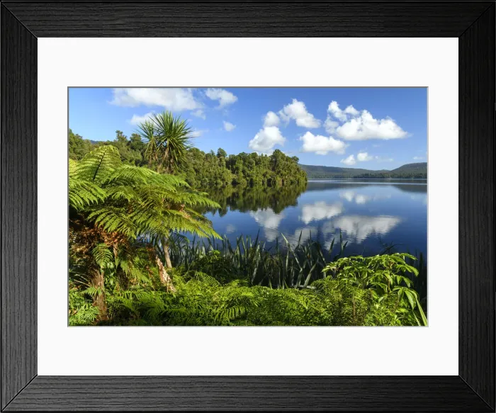 Framed Print : Oceania, New Zealand, Aotearoa, South Island, West Coast, Lake Paringa Framed Print : Oceania, New Zealand, Aotearoa, South Island, West Coast, Lake Paringa