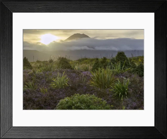 Framed Print : Oceania, New Zealand, Aotearoa, North Island, Tongariro National Park Framed Print : Oceania, New Zealand, Aotearoa, North Island, Tongariro National Park